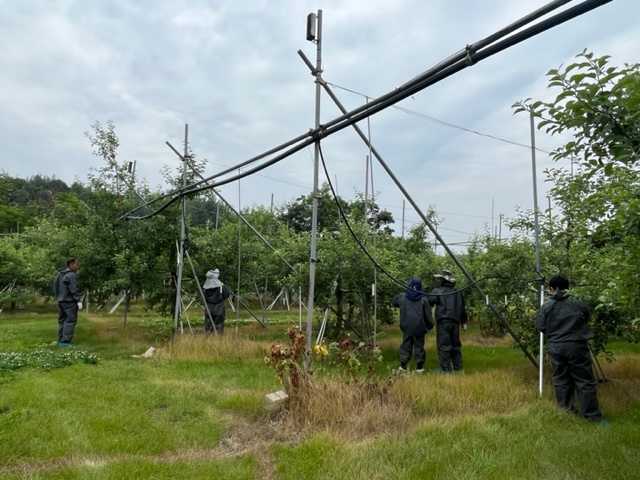 과수 화사병 현장대응 집중운영 이미지 1 - 본문에 자세한설명을 제공합니다.