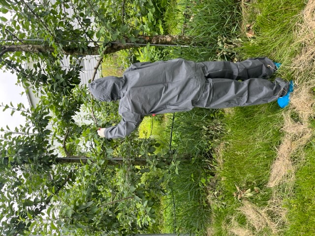 과수 화사병 현장대응 집중운영 이미지 3 - 본문에 자세한설명을 제공합니다.