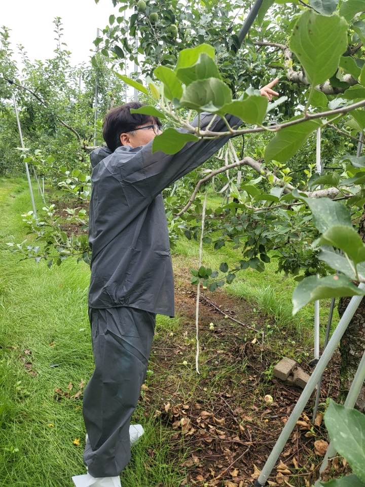 연천군, 화상병 유입 차단 위해 3차 합동예찰 이미지 6 - 본문에 자세한설명을 제공합니다.