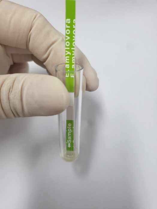 연천군, 화상병 유입 차단 위해 3차 합동예찰 이미지 4 - 본문에 자세한설명을 제공합니다.