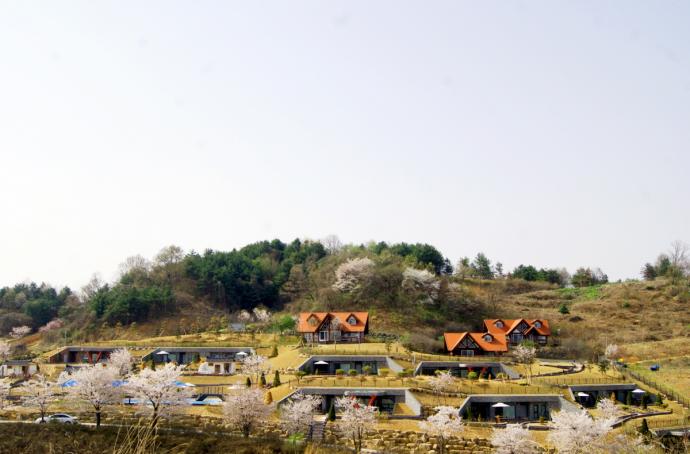 연천 미라클 타운 이용요금 할인 이미지