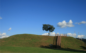 당포성 별빛 축제 이미지 1 - 본문에 자세한설명을 제공합니다.