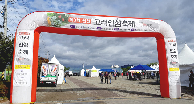 연천 고려인삼축제 이미지 1 - 본문에 자세한설명을 제공합니다.