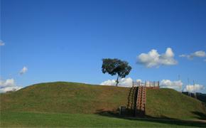 당포성 별빛 축제 이미지