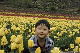 홍보대사임명함! 이미지