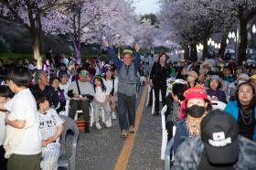 [24. 4. 13.] 전곡읍 벚꽃축제 이미지