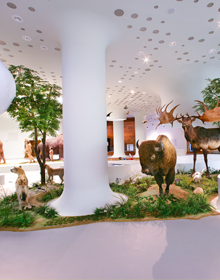 전곡선사박물관 이미지