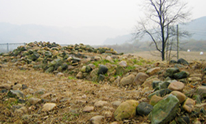 Stone Mound Tomb in Samgot-ri