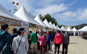 연천 고려인삼축제 2